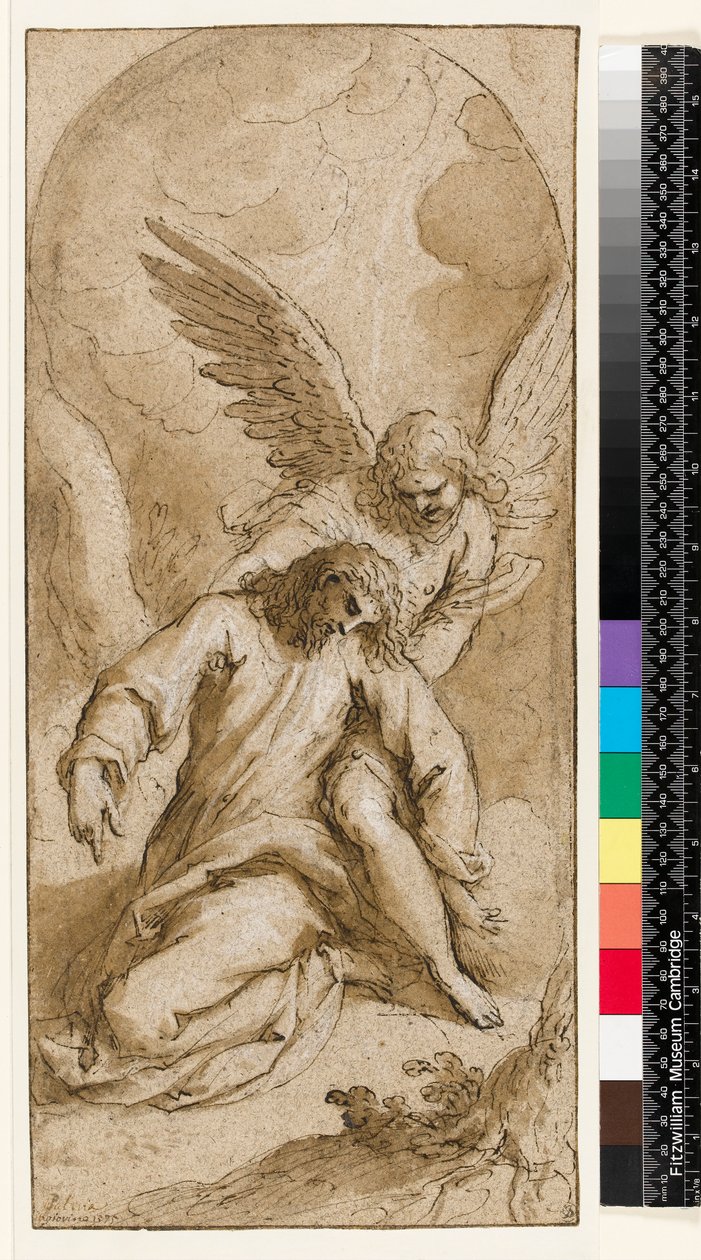 Bahçedeki Acı (siyah tebeşir, kahverengi mürekkep, sepya yıkama) by Palma Il Giovane