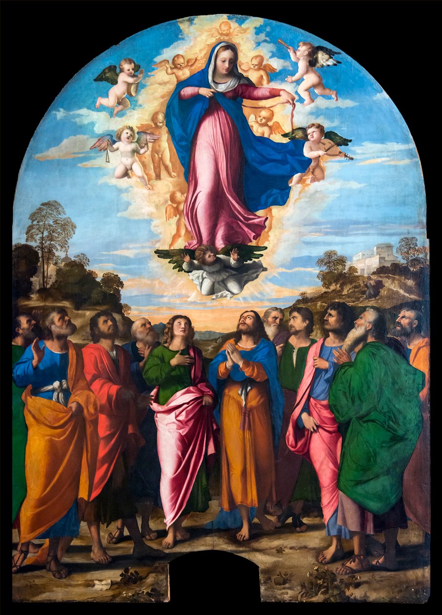 Bakire Varsayımı by Palma il Vecchio