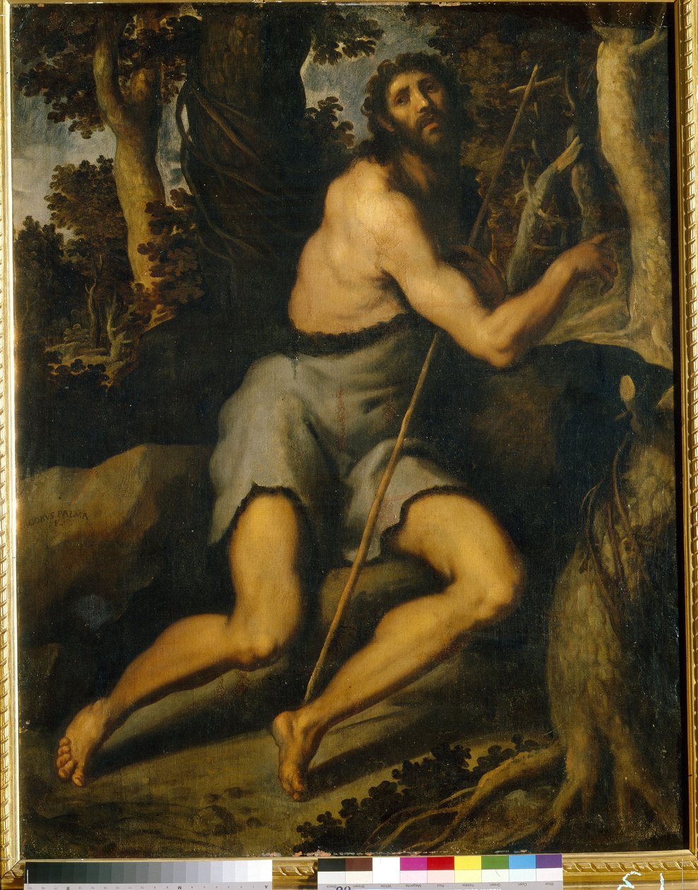Vahşi Doğada Vaftizci Yahya. Jacopo Palma il Giovane, Genç (1544-1628), tuval üzerine yağlı boya, 16-17. yüzyıl. İtalyan sanatı (Venedik), Maniyerizm. Batı ve Doğu Sanatları Müzesi, Kiev (Ukrayna). by Palma Il  Giovane