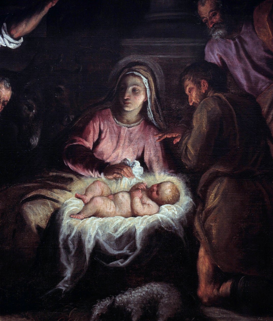 Palma Giovane