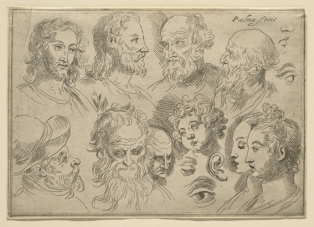 On başlı eskiz plakası, 1636 by Palma Il Giovane
