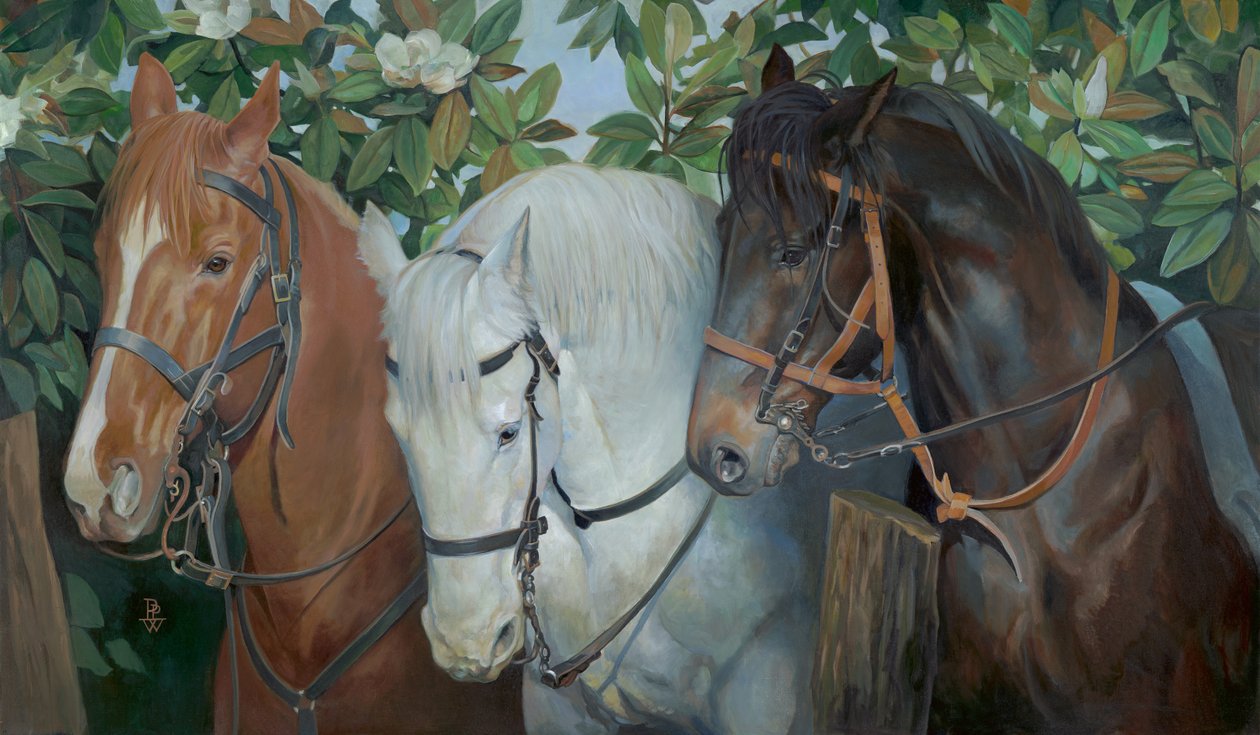  by Pamela Patrick White