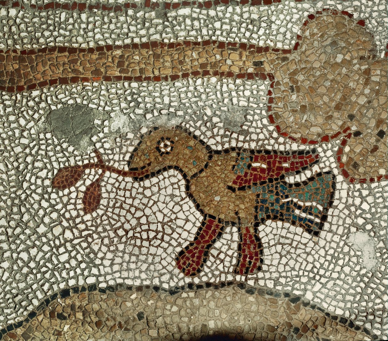  by Pantaleone Pantaleone