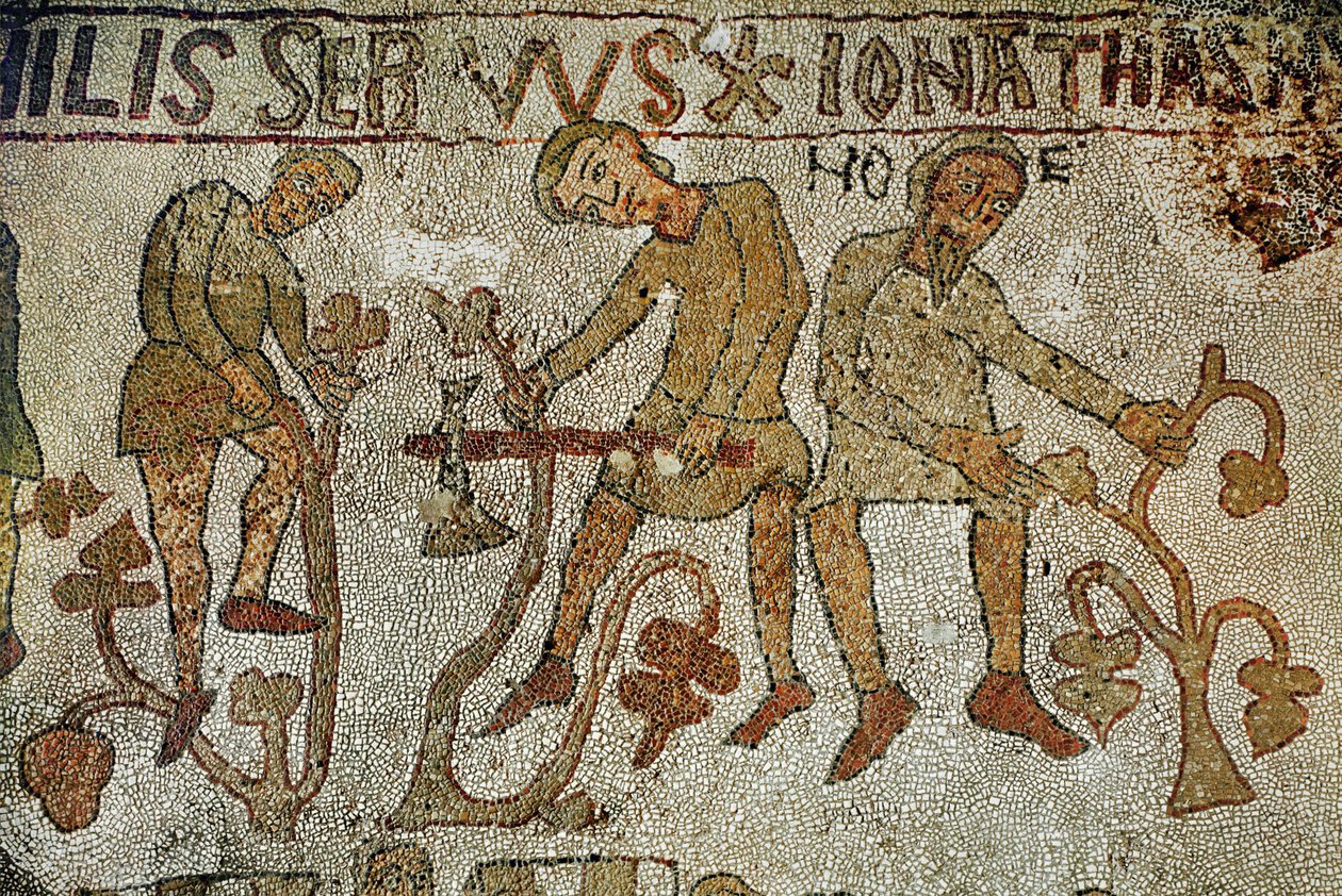  by Pantaleone Pantaleone