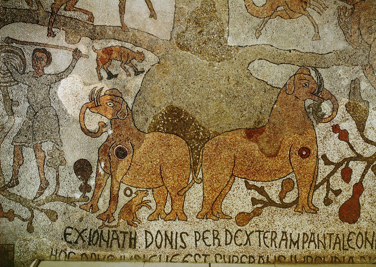  by Pantaleone Pantaleone