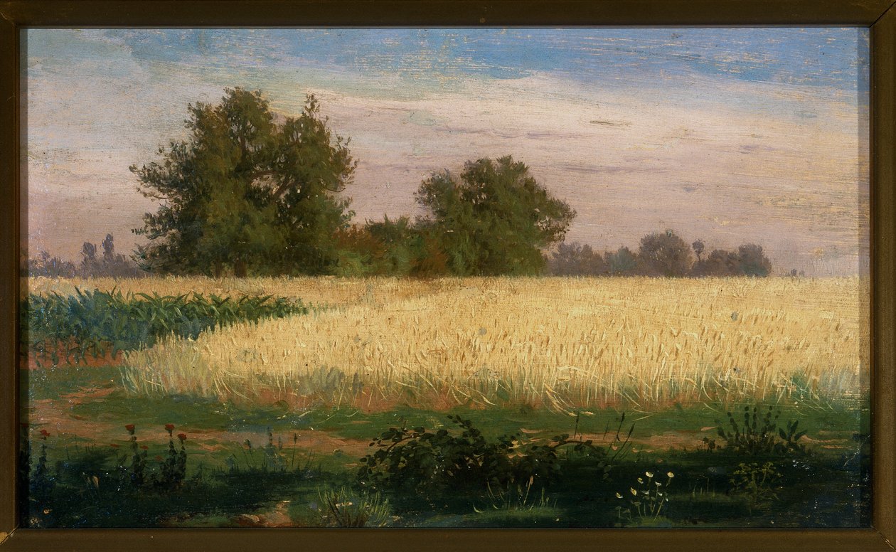 Buğday Tarlası ile Manzara by Paolo Ferretti