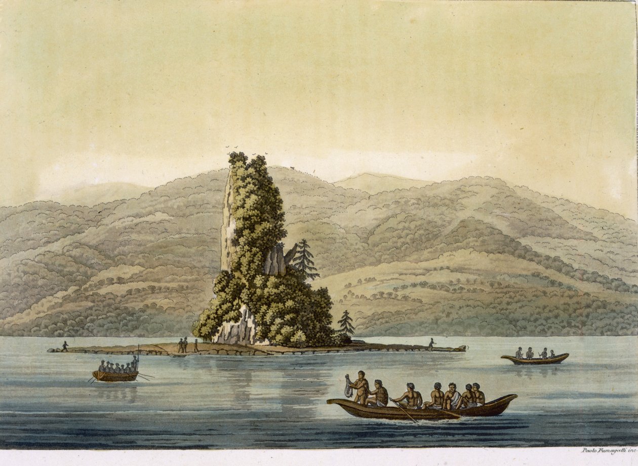 Vancouver yakınlarındaki New Norfolk (renkli gravür) by Paolo Fumagalli
