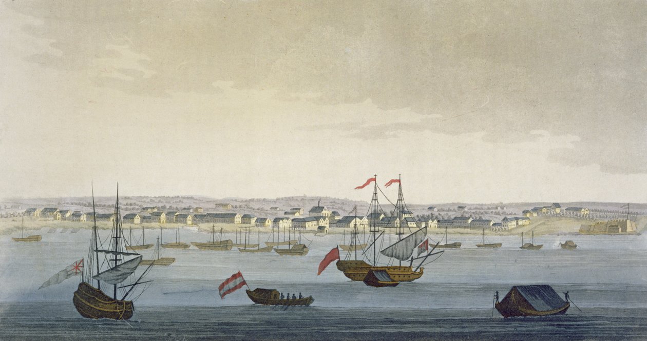 Paramaribo Şehri (renkli gravür) by Paolo Fumagalli