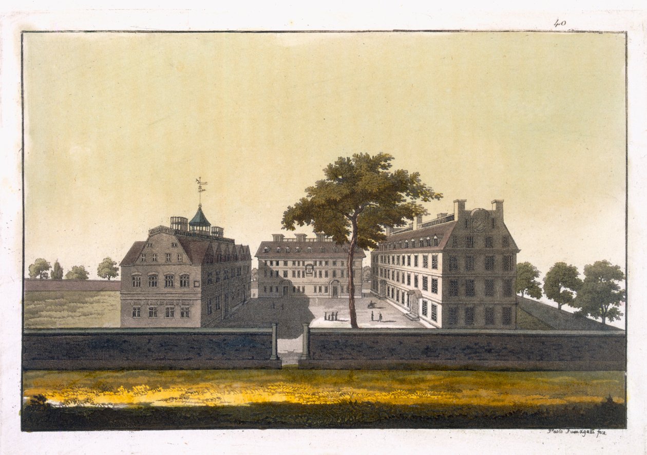 Cambridge Üniversitesi, Massachusetts, Jules Ferrario