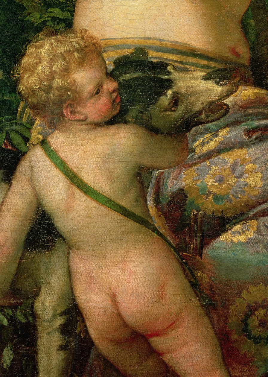 Aşk tanrısı, Venüs ve Adonis