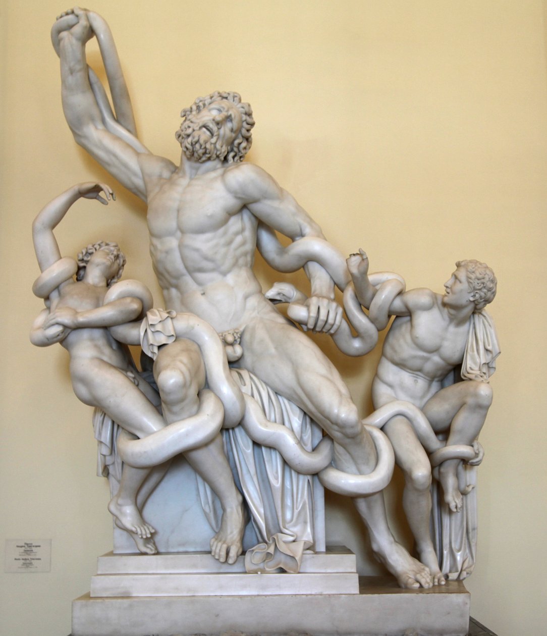 "Laokoon", 1789. by Paolo Andrea Triscornia
