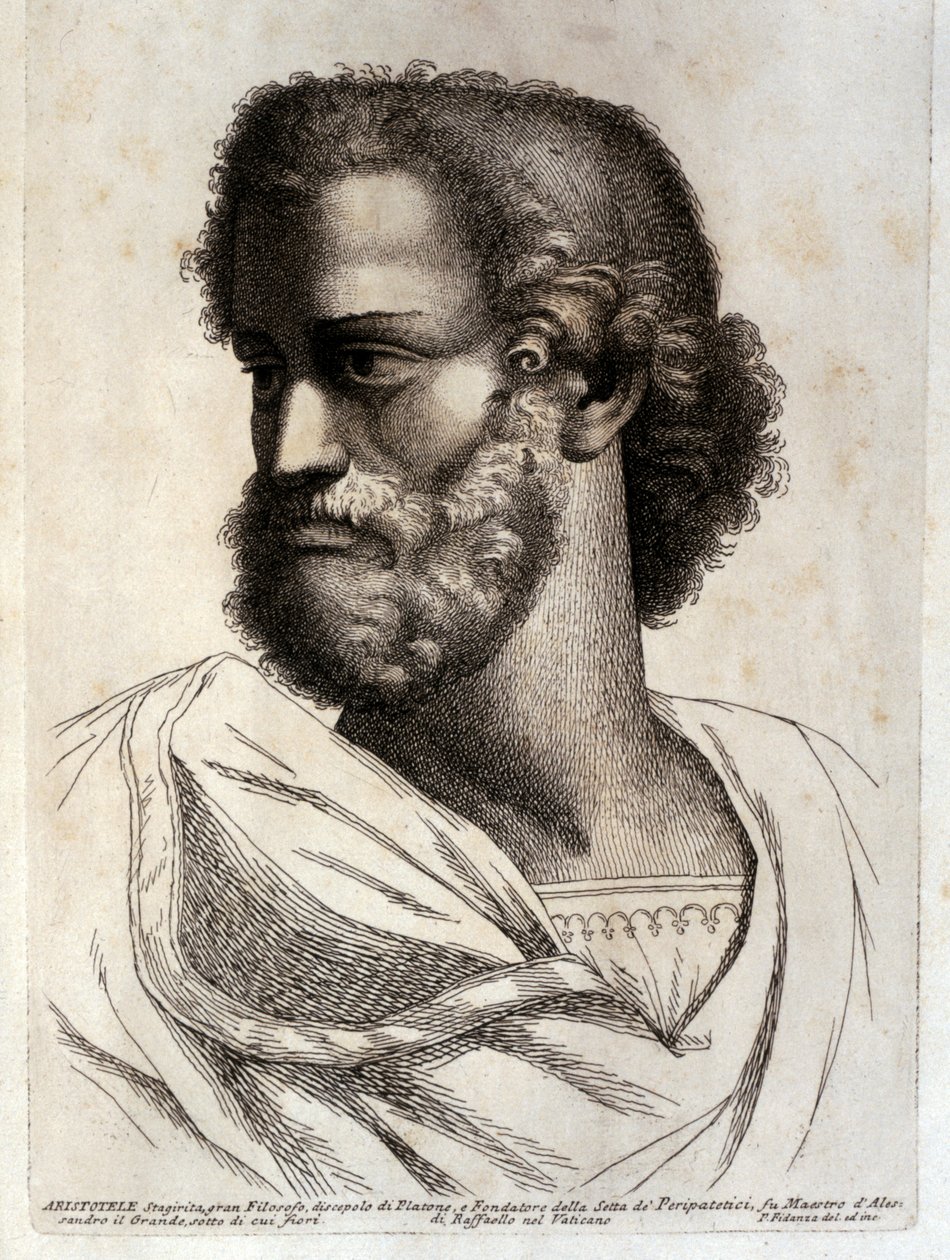  by Paolo Fidanza
