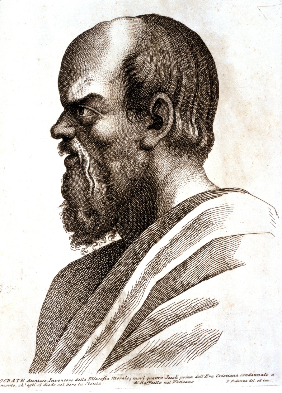  by Paolo Fidanza