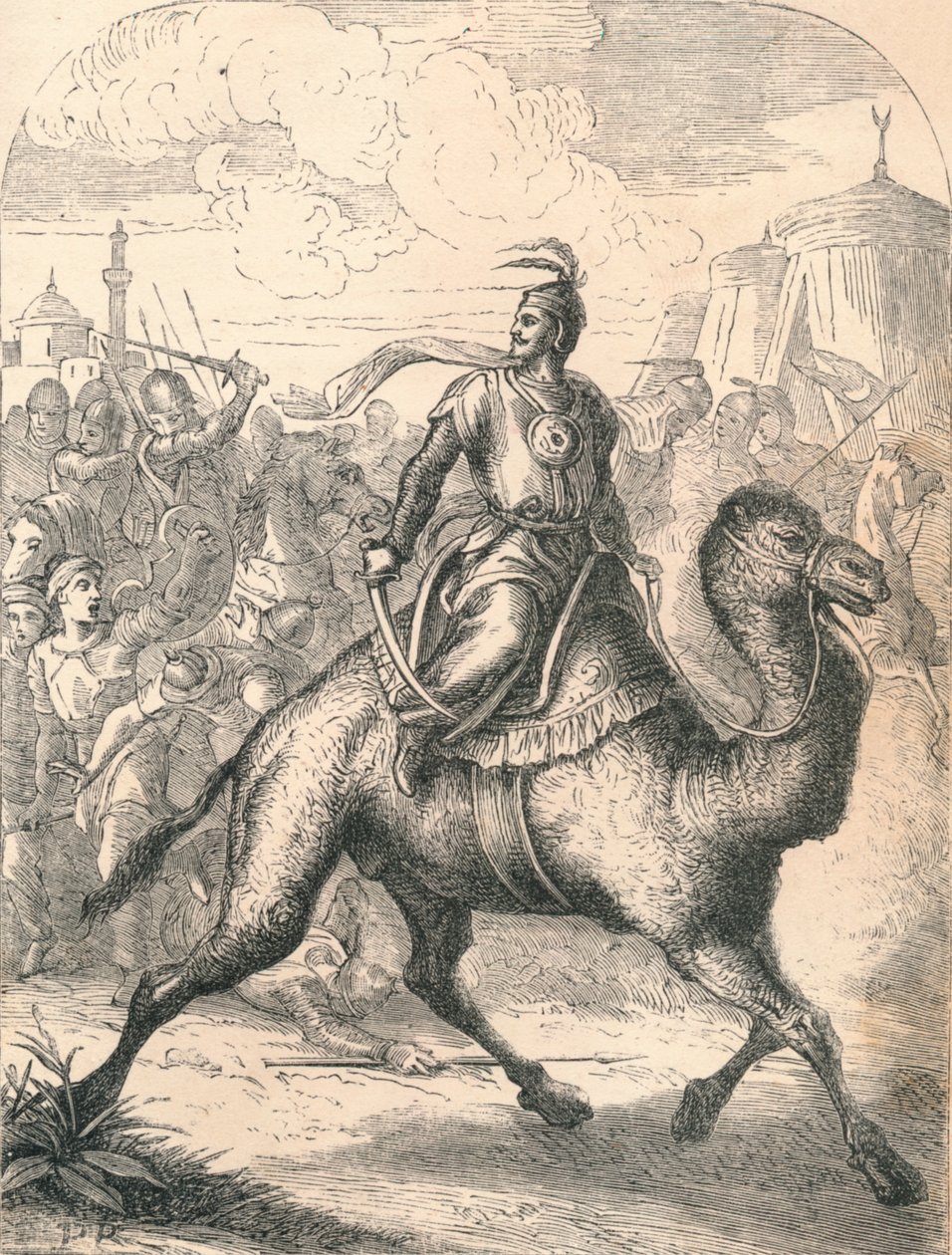 Hızlı Bir Dromedary