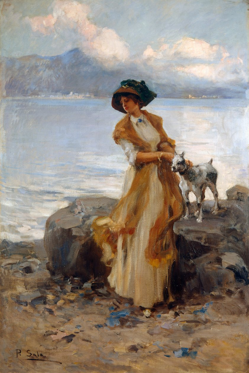 Mergozzo Gölü'ndeki Uyum, Paolo Sala (1859-1924), tuval üzerine yağlı boya by Paolo Sala