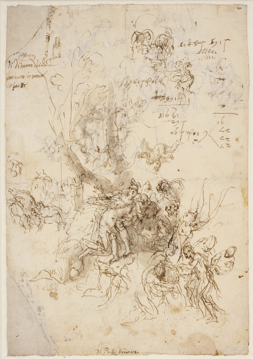 Adonis'in doğumu ve ölümü için eskizler by Paolo Veronese