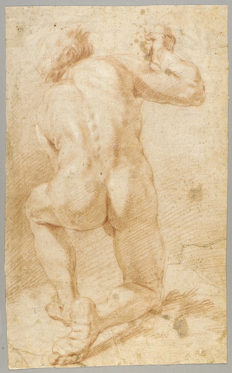  by Paolo de Matteis