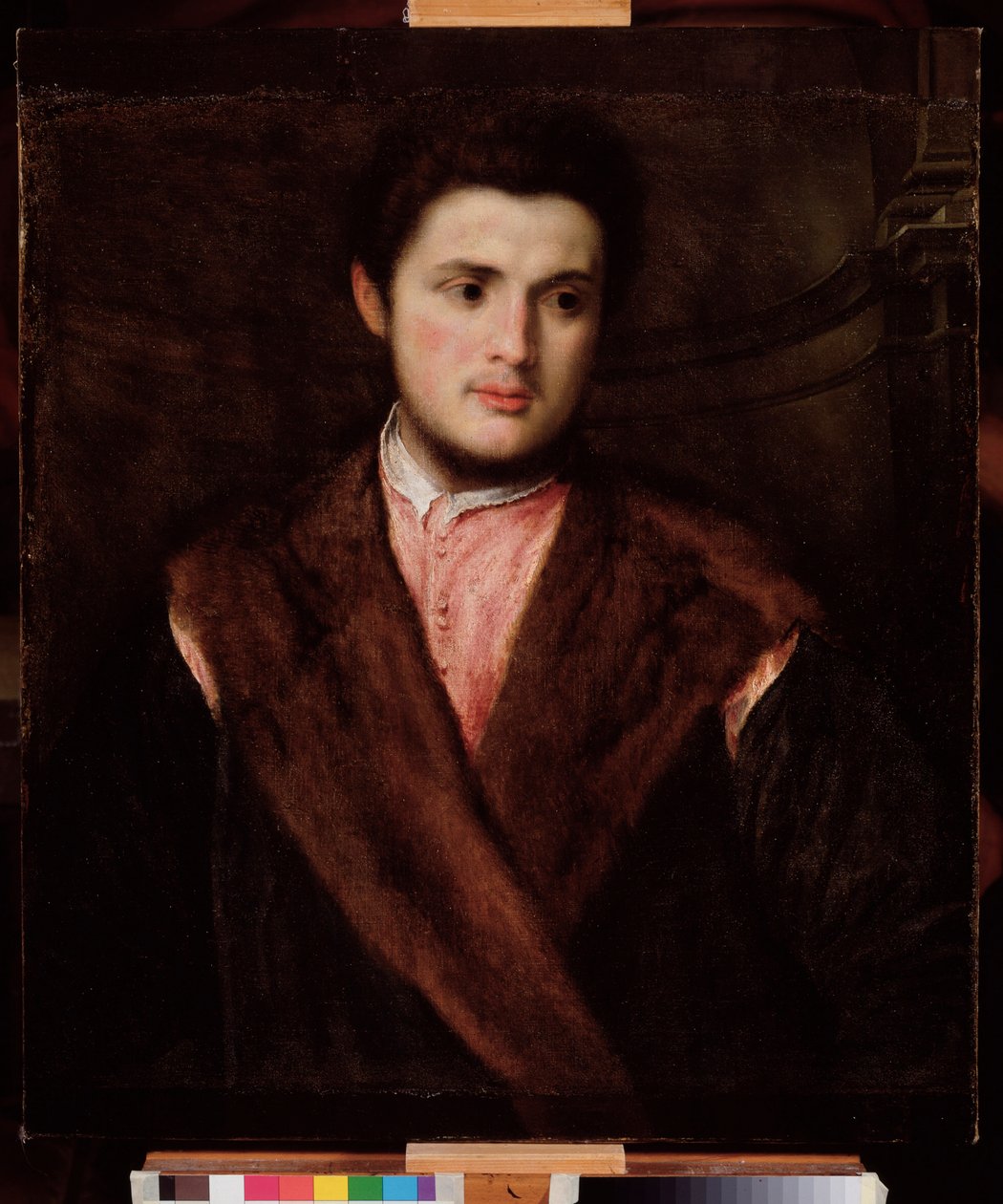 Kürk manto giyen genç bir adamın portresi Tablo Paris Bordon (1500-1571) 16. yüzyıl Dim 75x64 cm Genes Musei di Strada Nuova (eski Palazzo Rosso) by Paris Bordone