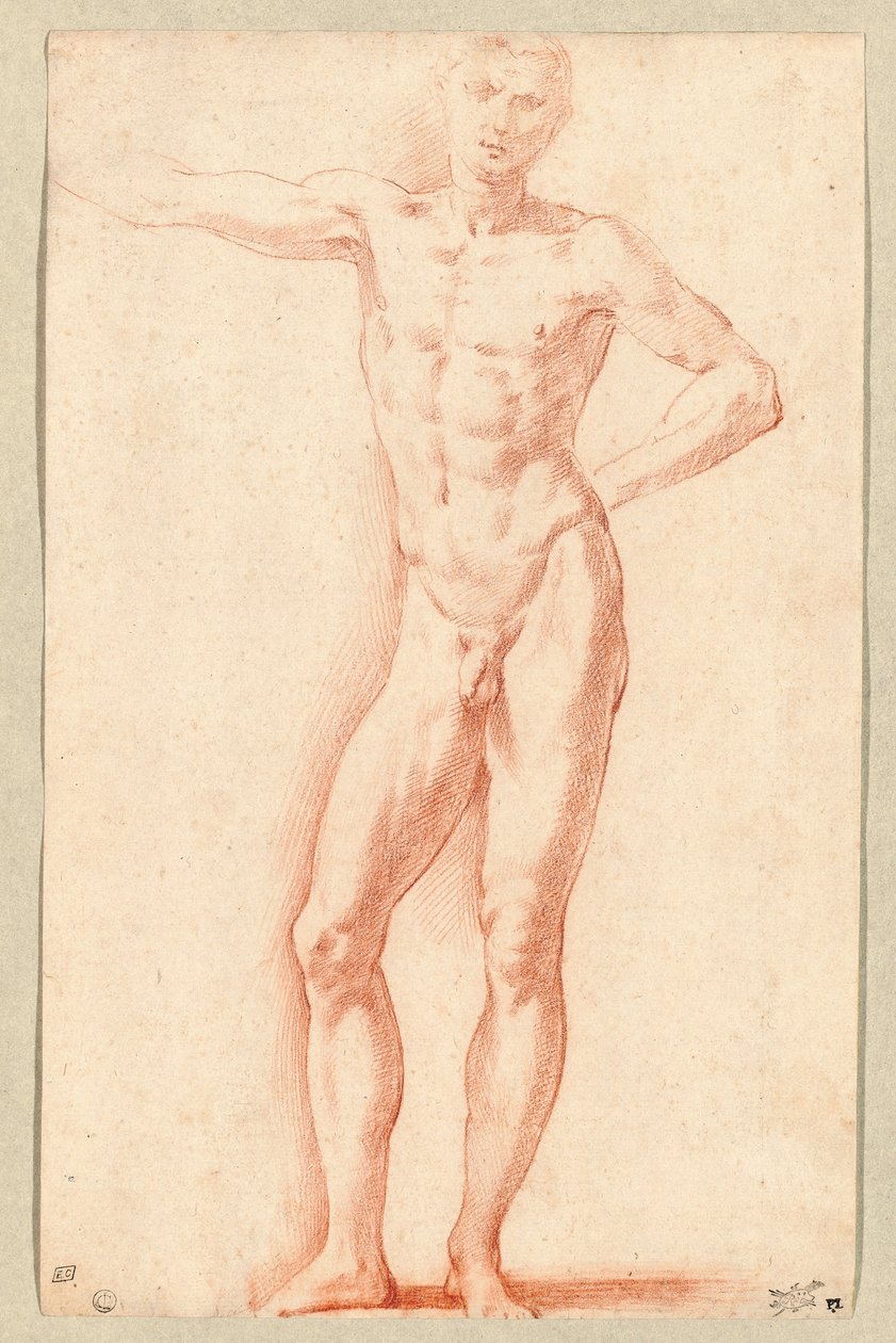 Çıplak bir erkek (kırmızı tebeşir) by Parmigianino (1503-40)