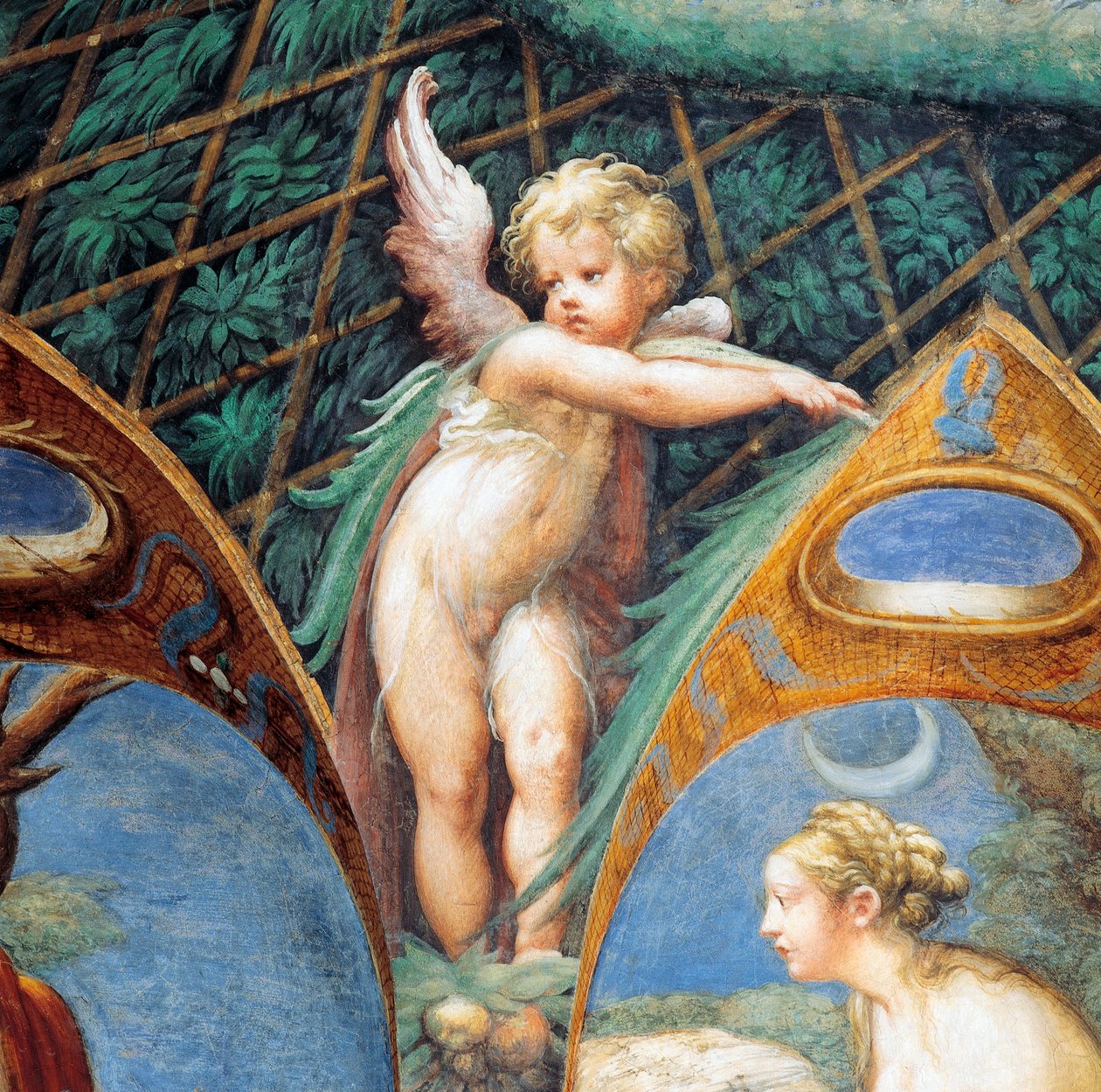 Cherub ve Diana