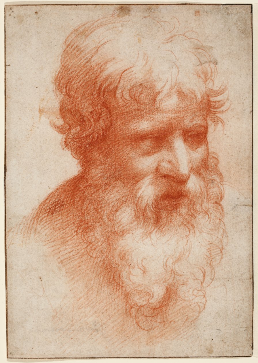 Sakallı Adamın Başı, sağa bakıyor, 1523-25 civarı (kağıt üzerinde kırmızı tebeşir) by Parmigianino (1503 40)