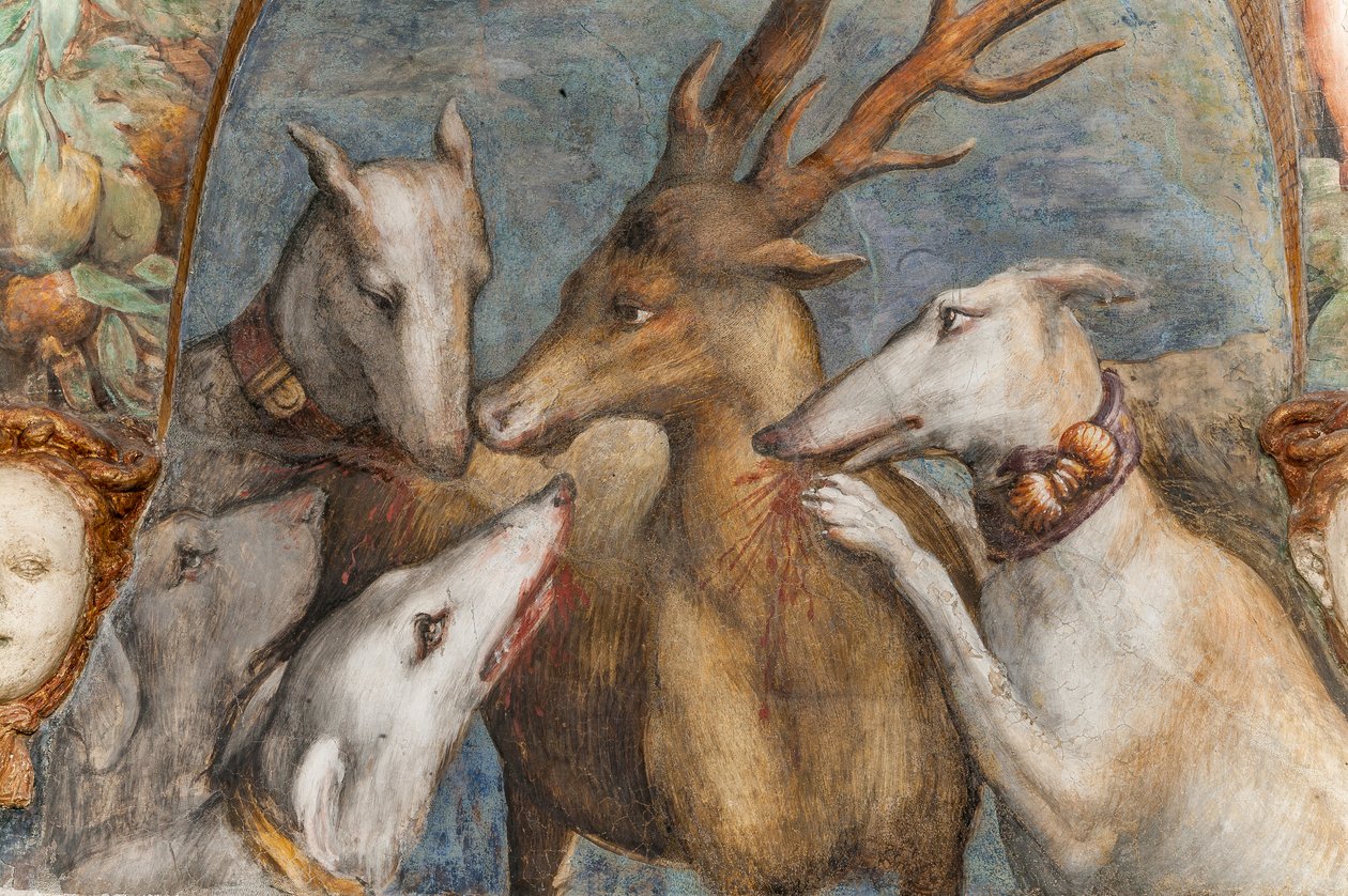 Geyiğe dönüşen Actaeon, Diana ve Actaeon Odası