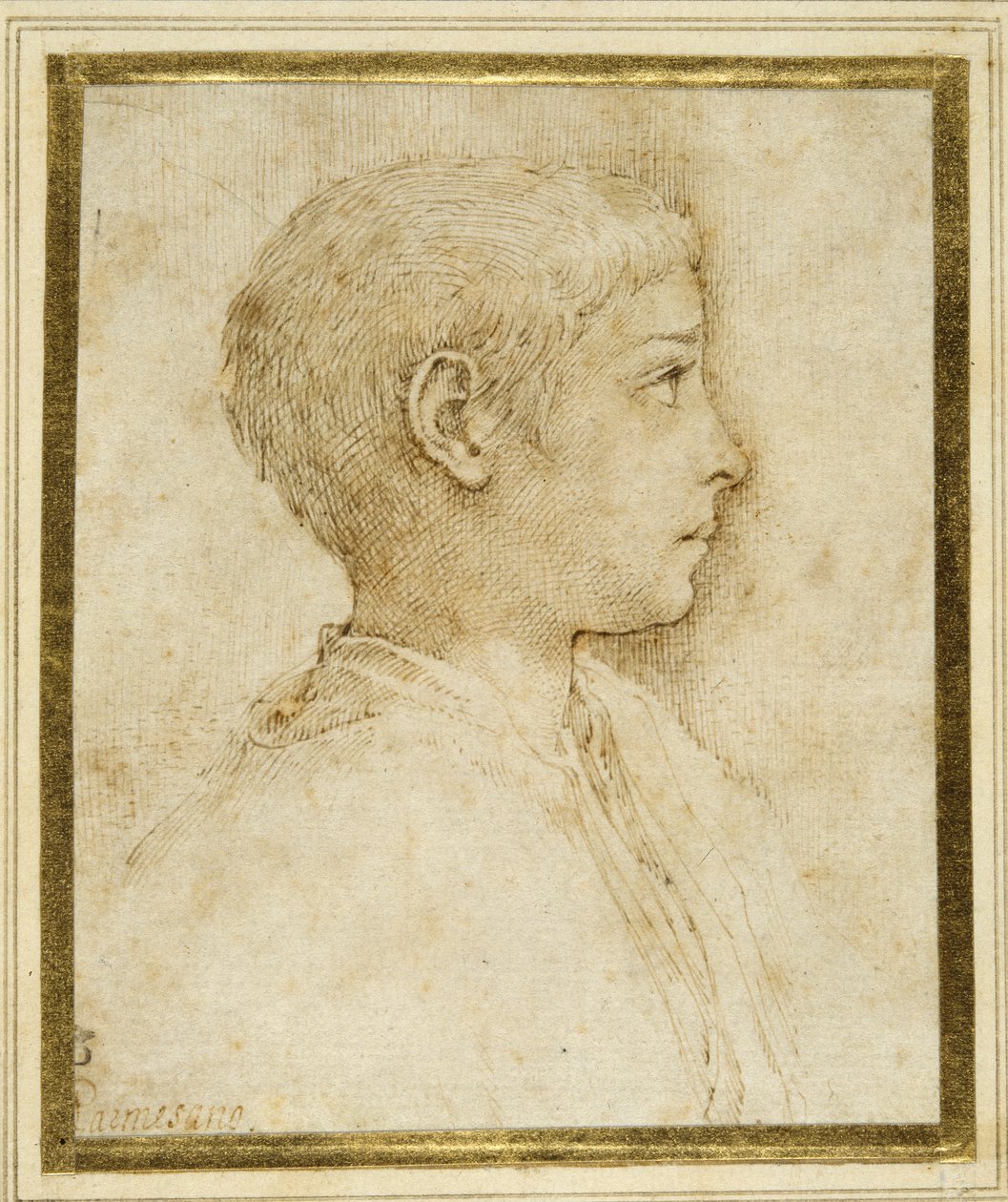 Sağdaki profilde bir çocuk büstü (beyaz kağıt üzerine kalem ve kahverengi mürekkep) by Parmigianino