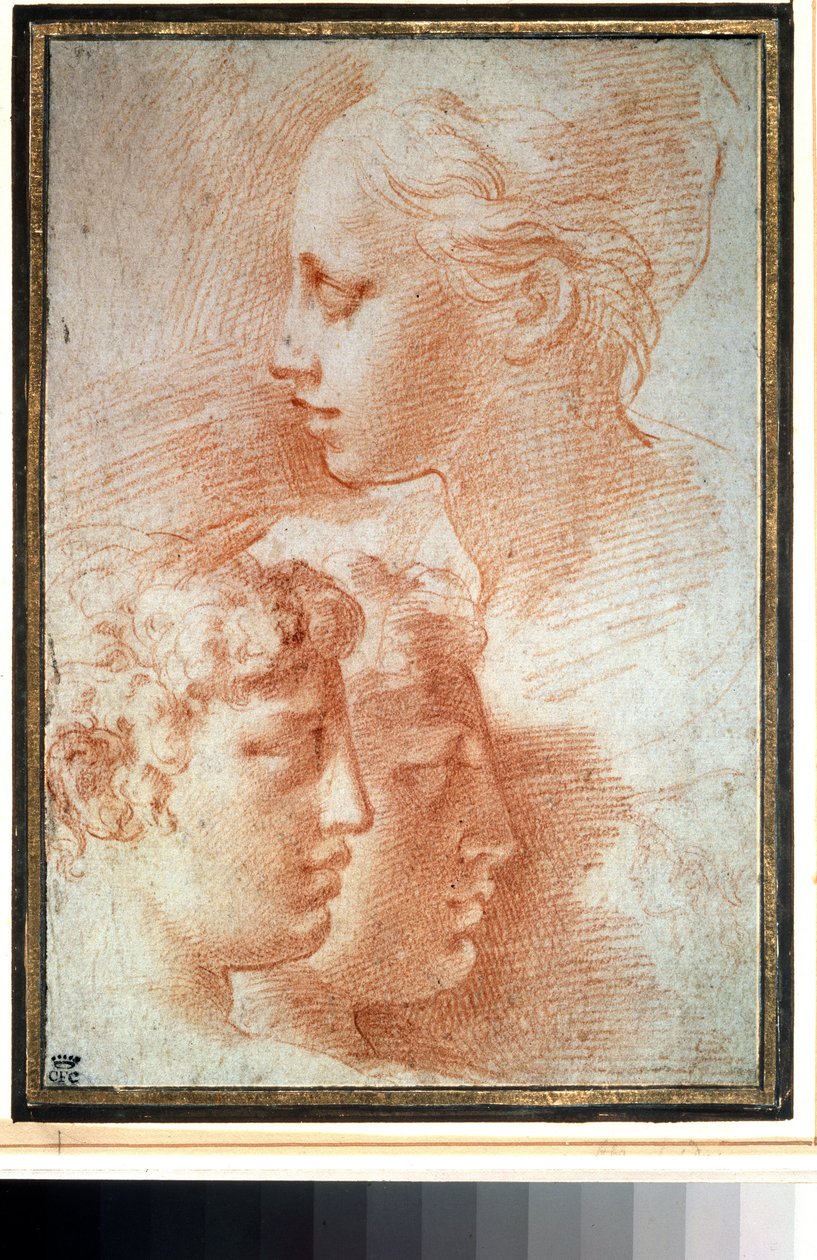 ""Başların incelenmesi"" (Kafaların incelenmesi). Genç kız ve erkek yüz profili. Girolamo Francesco Maria Mazzola veya Mazzuoli tarafından il Parmigianino (Parmesan) adlı çizim by Parmigianino