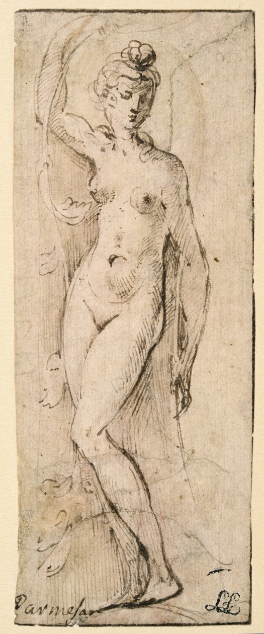 Kadın figürü - Santa Maria della Steccata için çalışma, Parma (rekto) by Parmigianino
