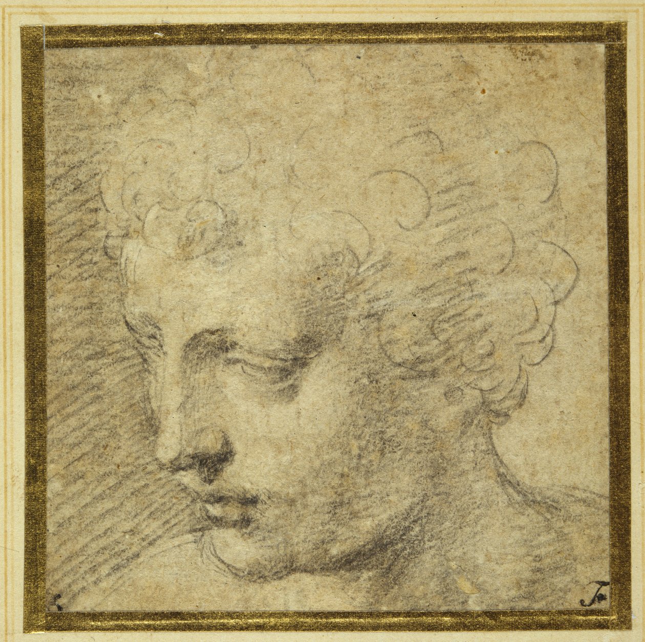 Bir çocuğun başı, hemen hemen solda profilde (renkli kağıt üzerinde siyah tebeşir) by Parmigianino