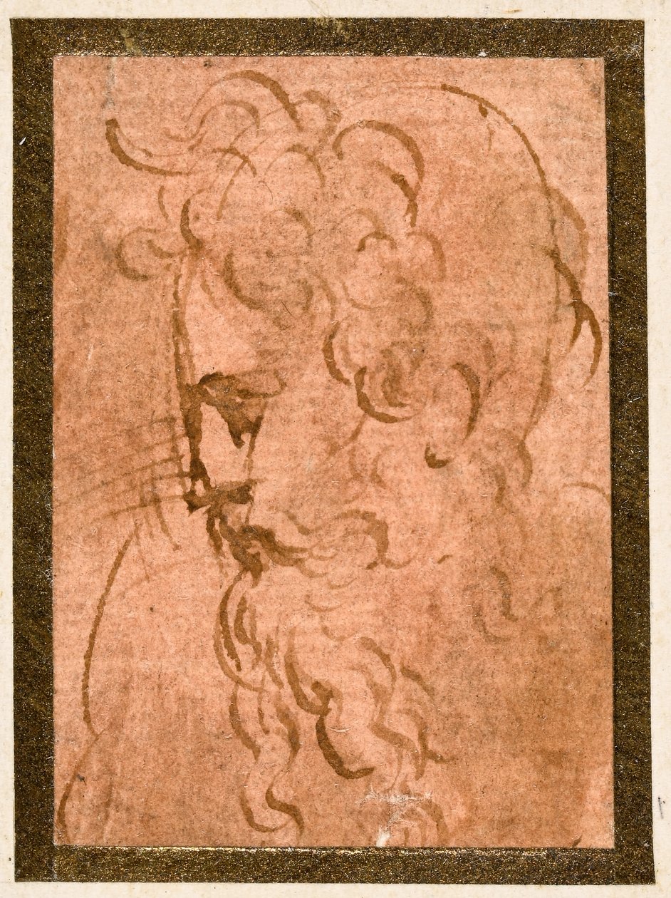 erkek kafa by Parmigianino