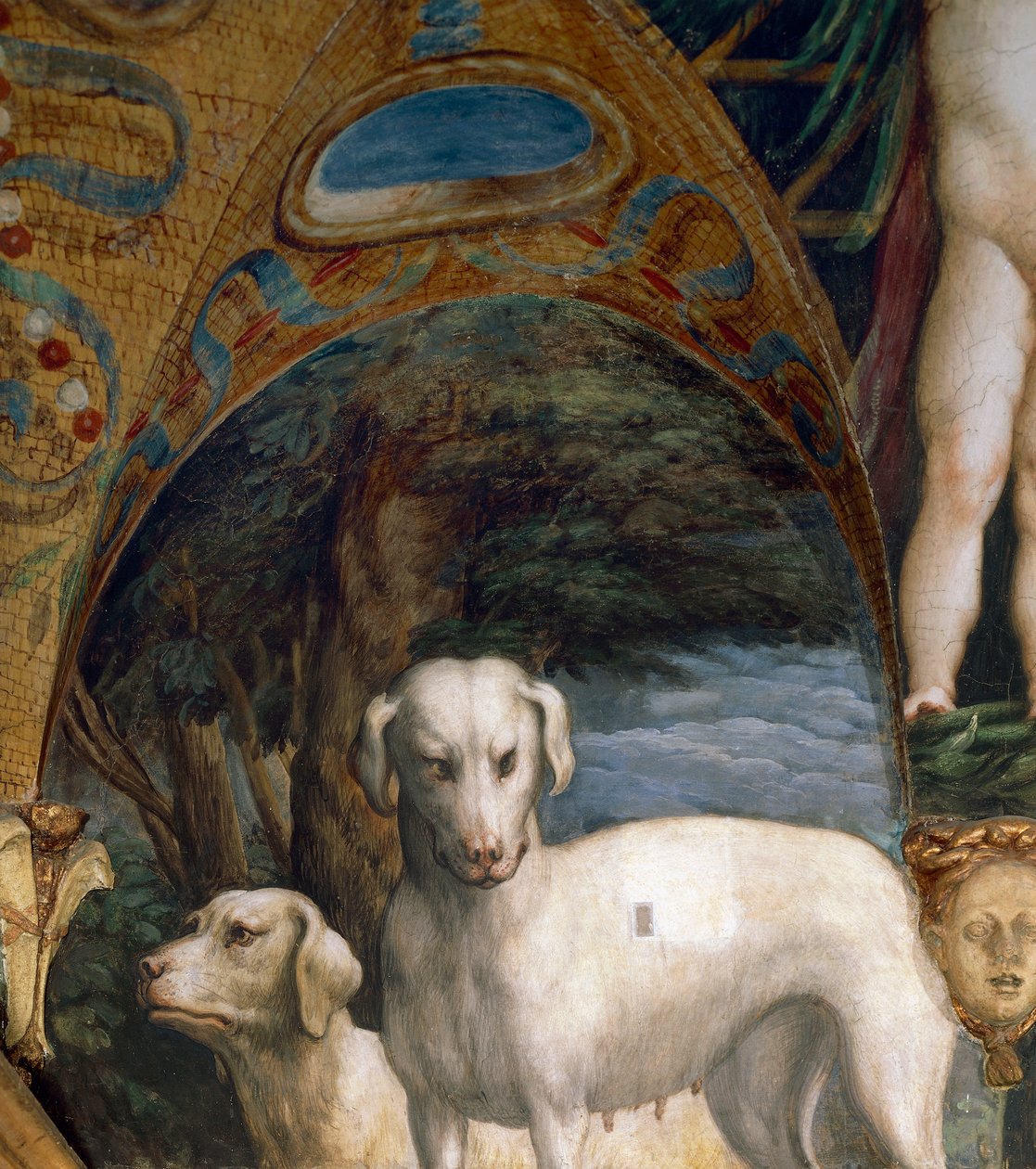 Bir çift köpek, Parmigianino (1503-1540) olarak bilinen Francesco Mazzola tarafından Diana ve Actaeon Efsanesi