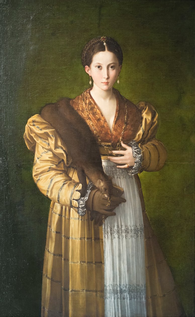 Genç bir bayanın portresi, Antea by Parmigianino (1503 40)