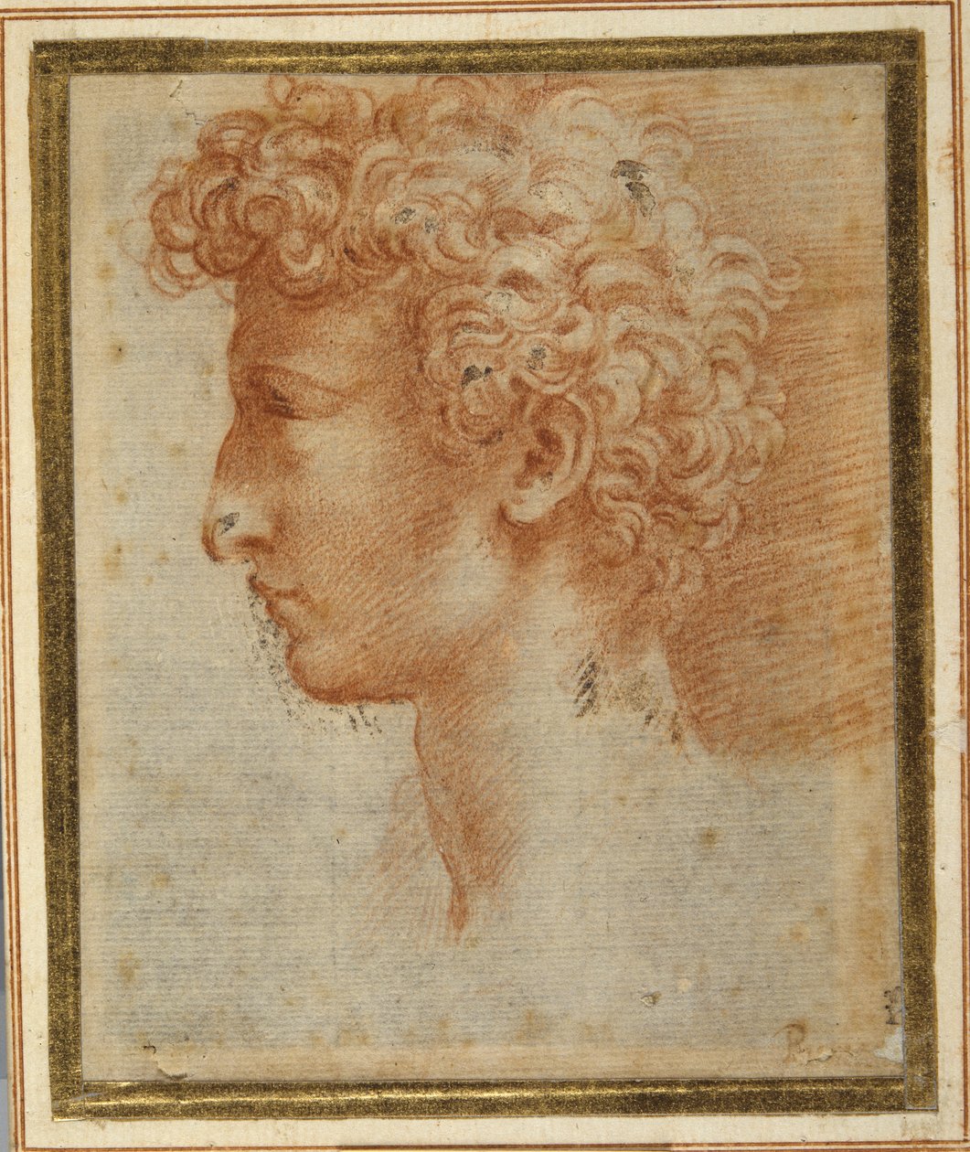Genç bir adamın profili (beyaz kağıt üzerine kırmızı tebeşir) by Parmigianino