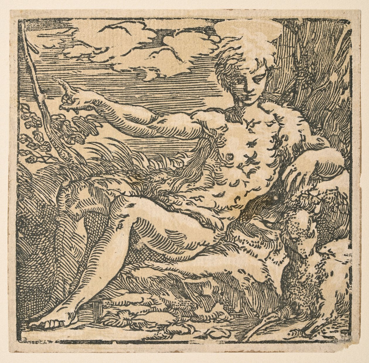 Vaftizci Yahya vahşi doğada by Parmigianino