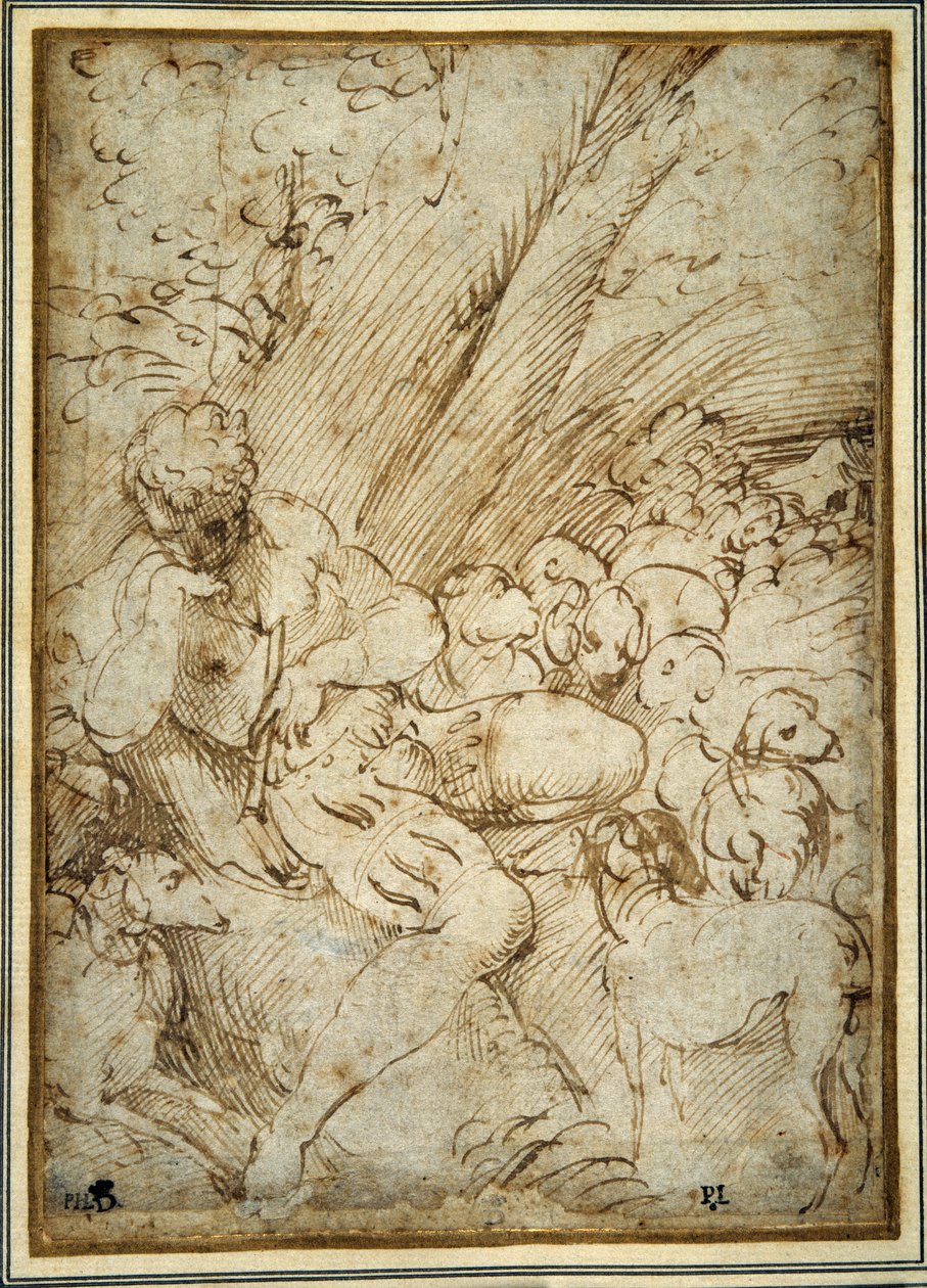 Çoban çocuk bir pipo tutuyor, köpeğiyle sürülerinin arasında bir ağacın altında dinleniyor (kalem ve kağıt üzerinde kahverengi mürekkep) by Parmigianino