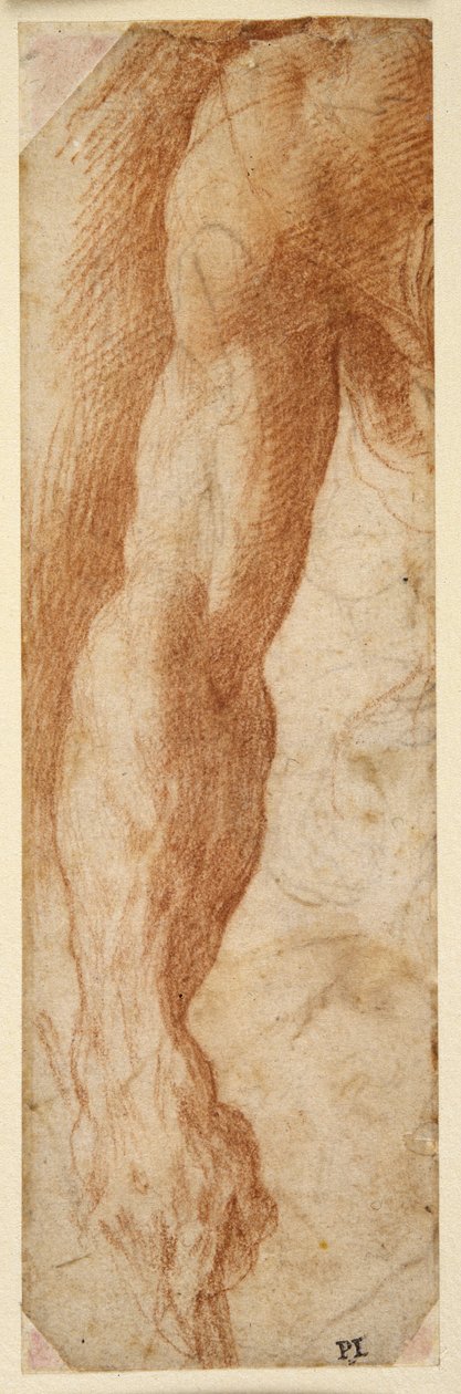 Bir adamın sağ kolunun incelenmesi, eli bir sopa tutuyor (beyaz kağıt üzerinde kırmızı tebeşir) by Parmigianino