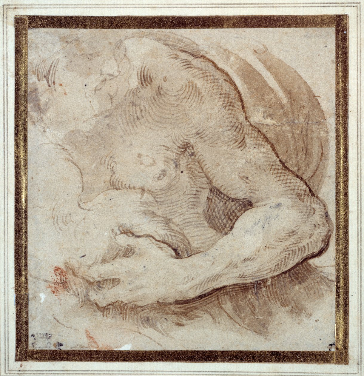 Sakallı bir adamın sol kolu, göğsü ve başının incelenmesi (kağıt üzerine kırmızı tebeşirle kalem ve kahverengi mürekkep) by Parmigianino