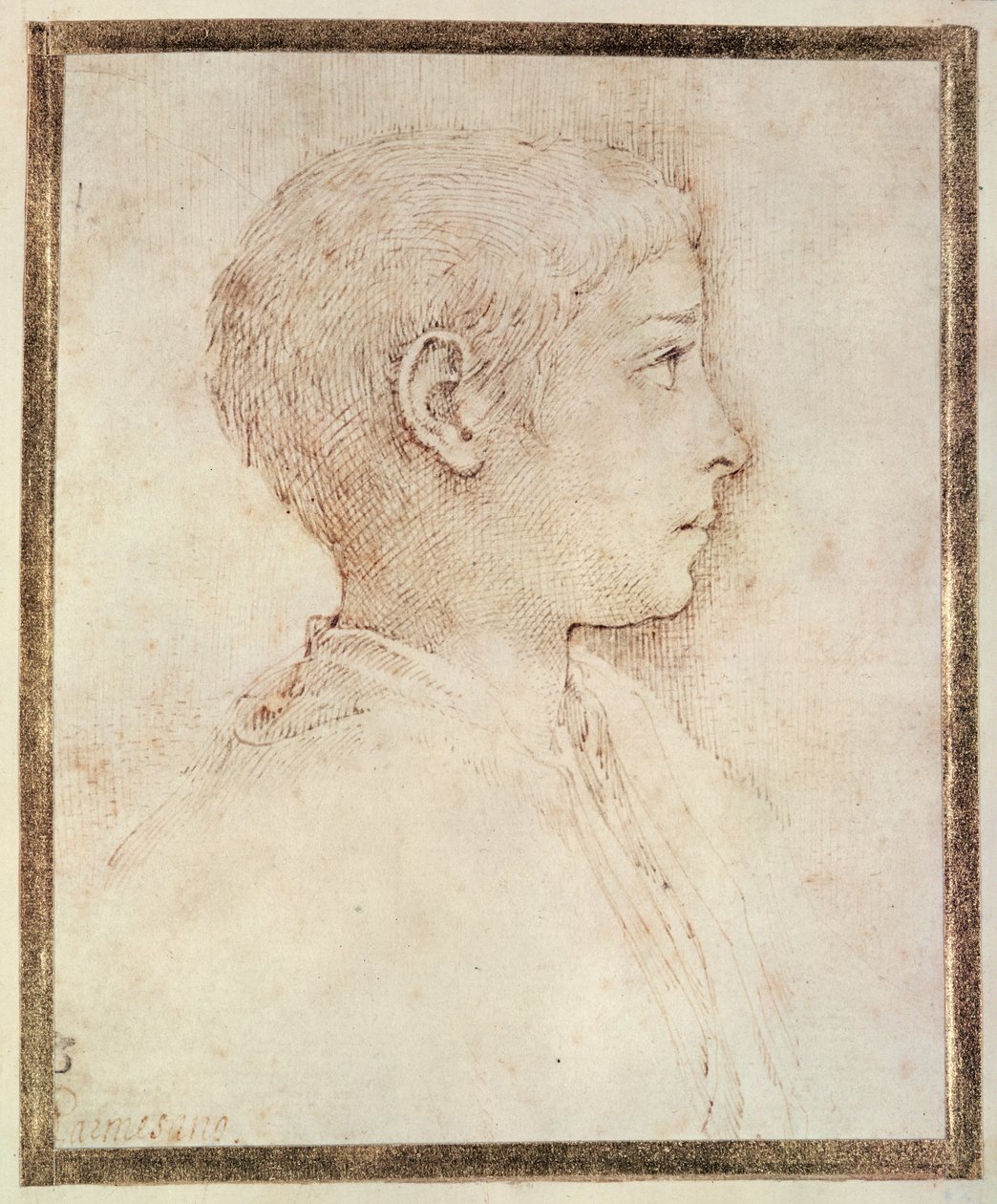 Bir çocuğun başı by Parmigianino