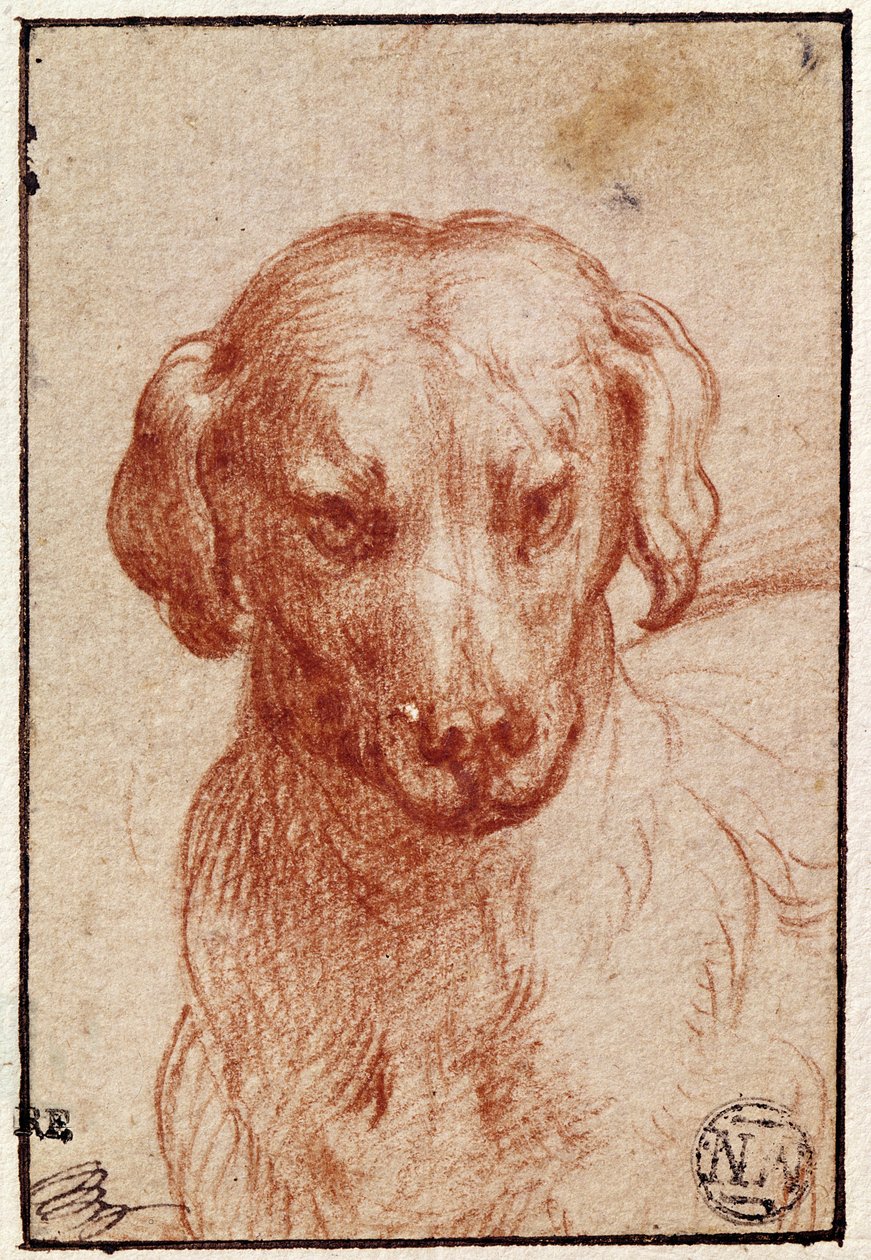 Köpek Başı (kağıt üzerinde kırmızı tebeşir) by Parmigianino
