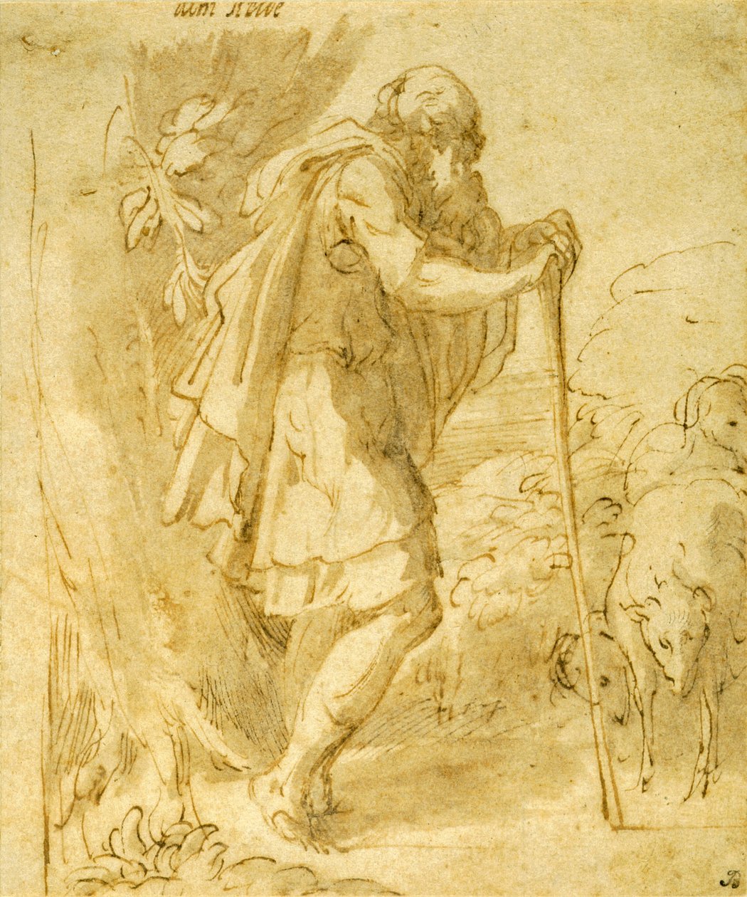 Asaya Yaslanmış Yaşlı Çoban by Parmigianino