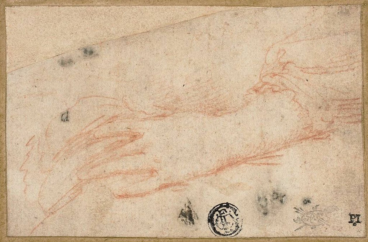  by Parmigianino