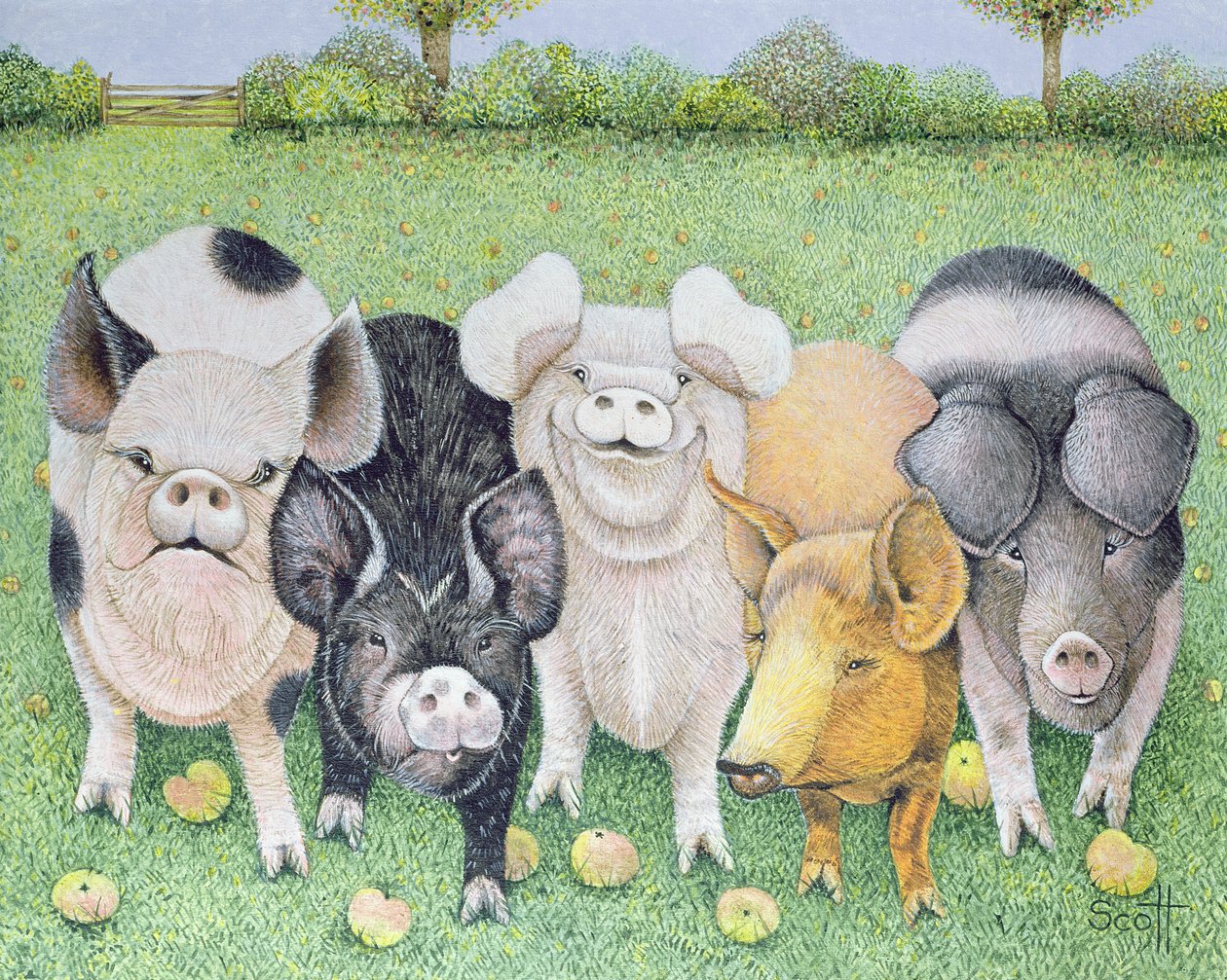  by Pat Scott