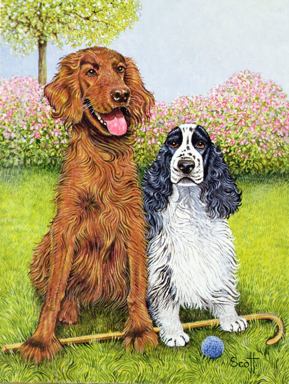  by Pat Scott