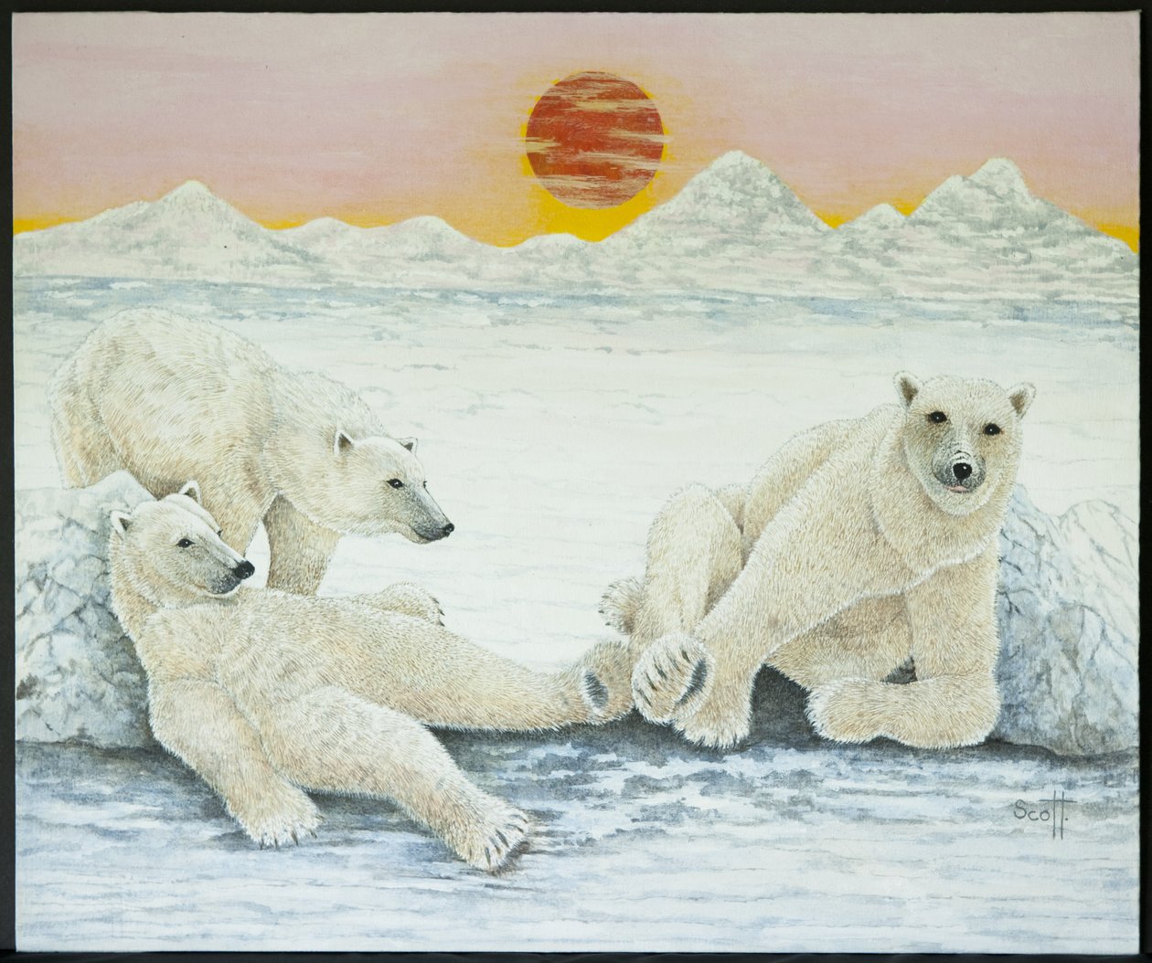  by Pat Scott