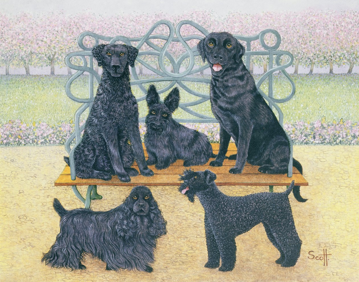  by Pat Scott