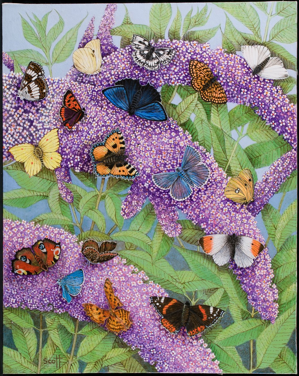  by Pat Scott