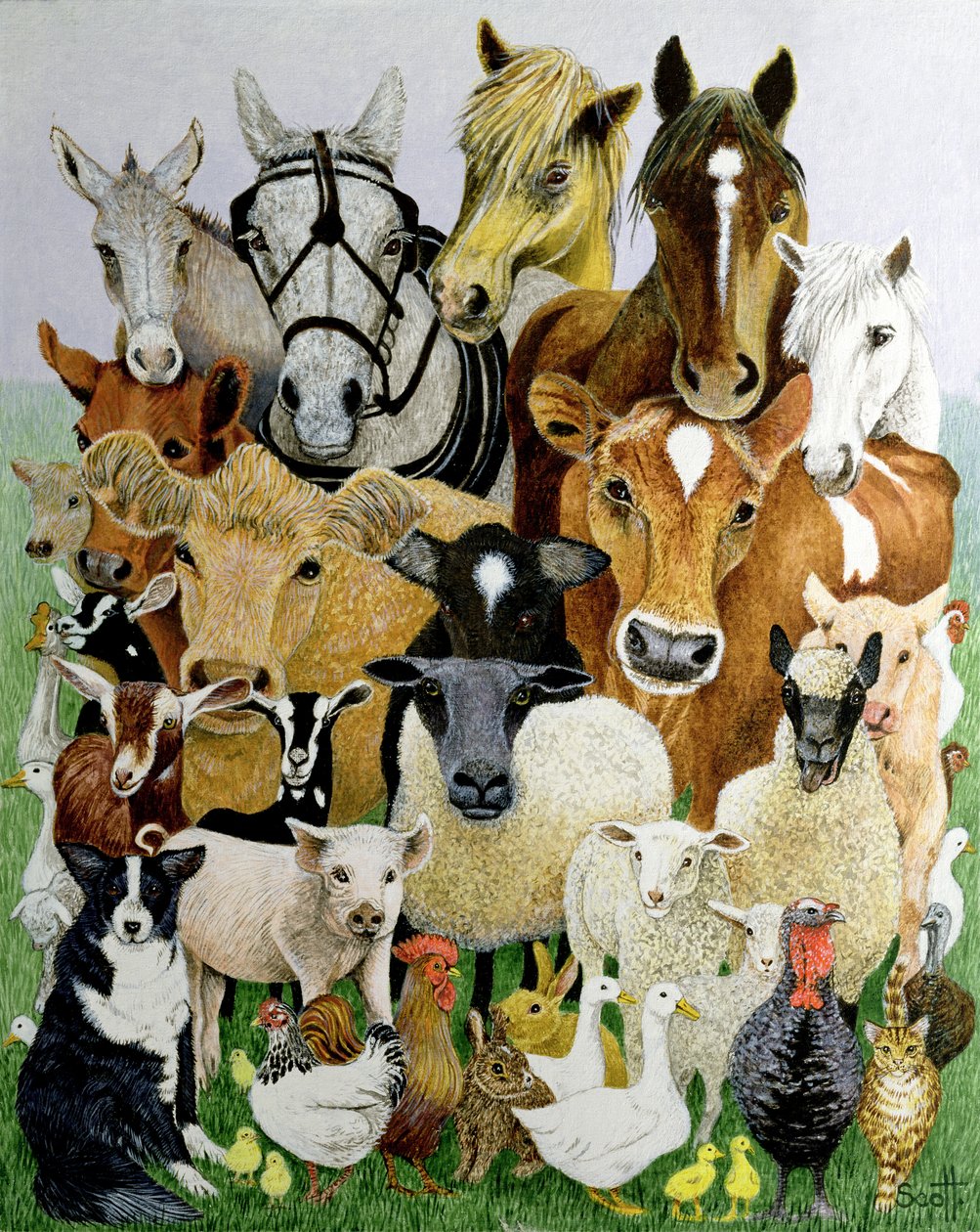  by Pat Scott