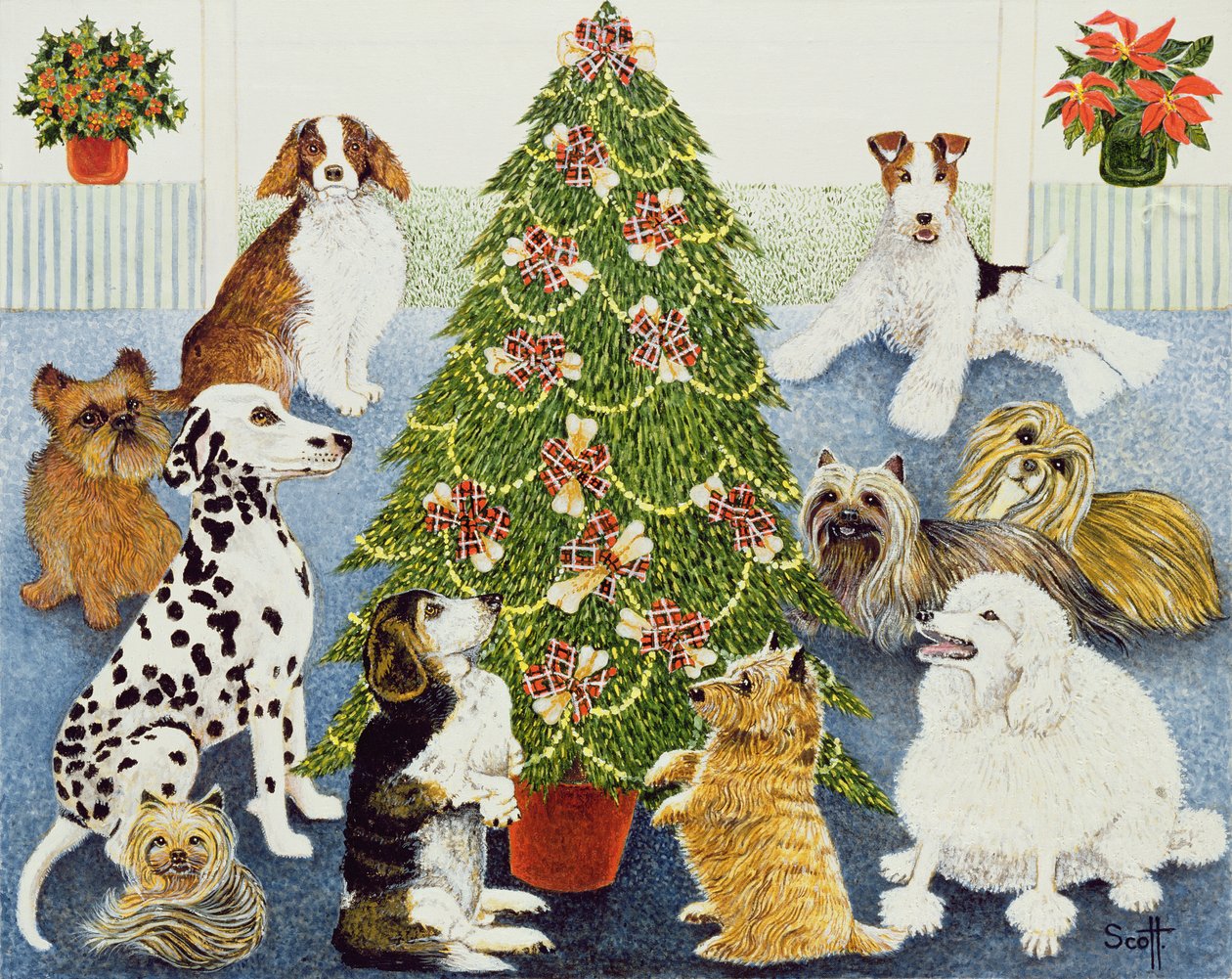  by Pat Scott