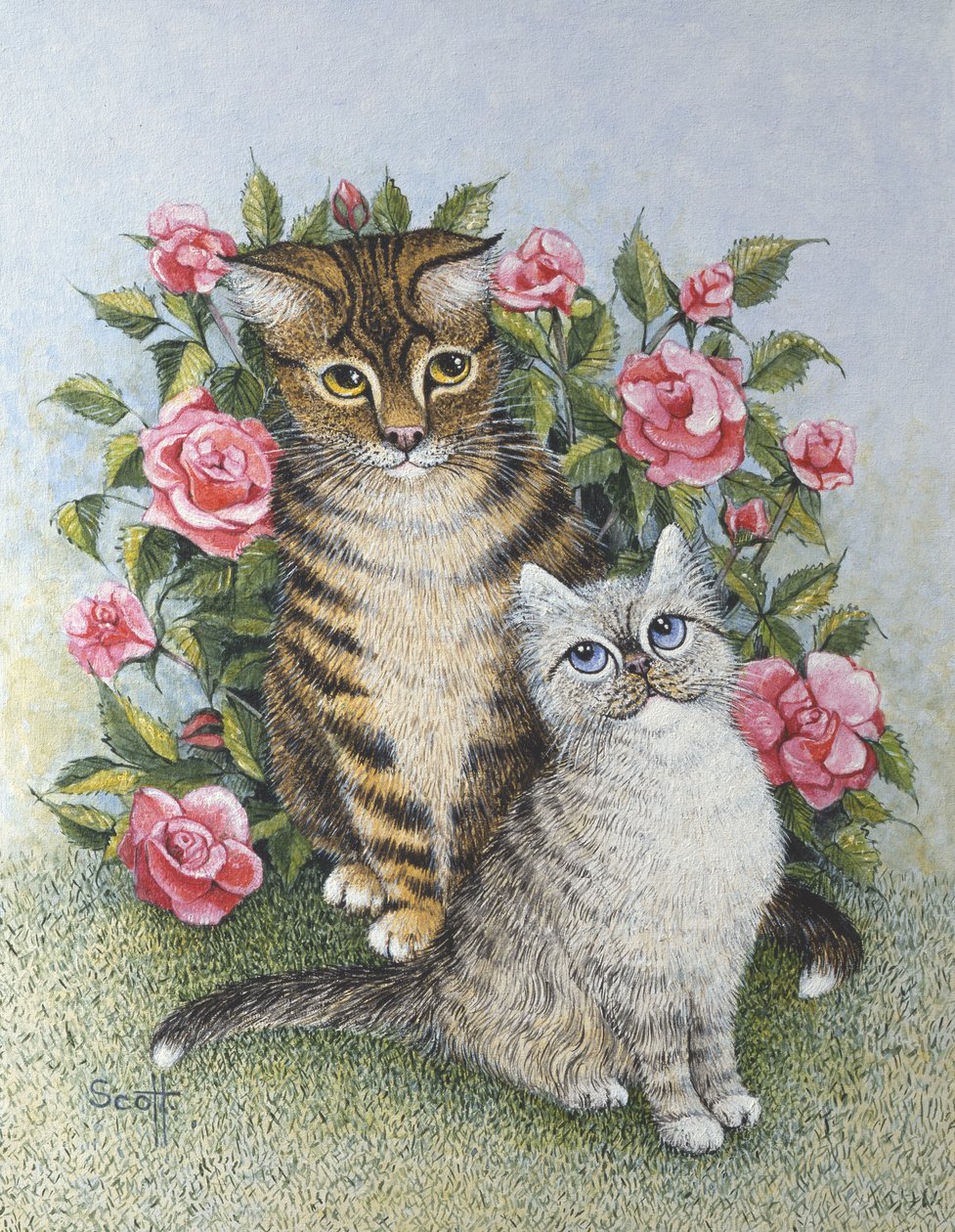  by Pat Scott
